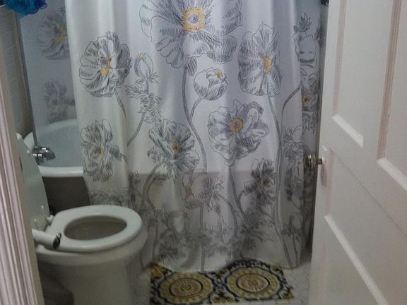 5th image of 820 Bird Ave