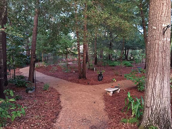 Park like backyard