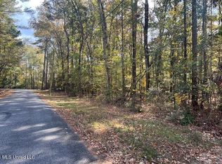 0 Pelahatchie Rd, Pelahatchie, MS 39145