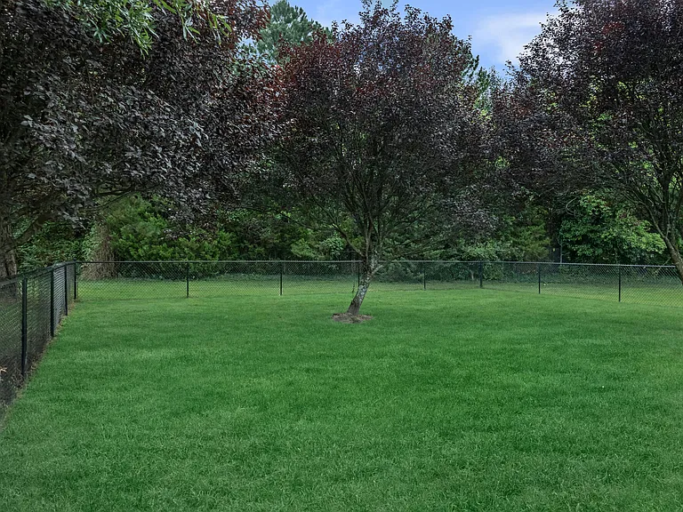 Clearfield Apartments — Photo 9
