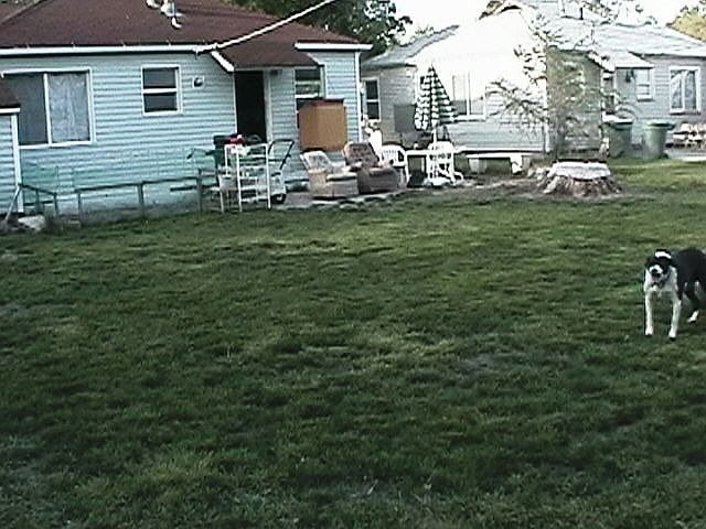 2nd image of 1463 W American Ave