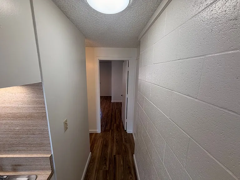 1301 Lusitana St — Photo 3