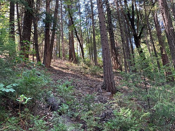 4th image of 5727 Starkes Grade Rd
