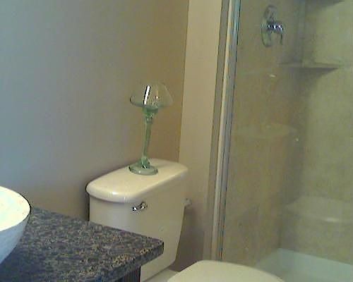 2nd image of 1841 S Calumet Ave APT 1408