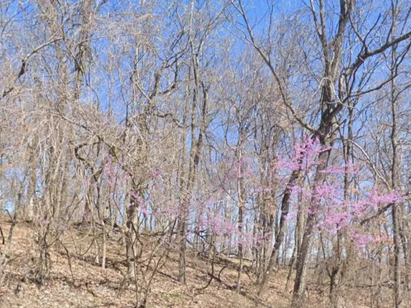 5.16 Acres Summit Dr, Eureka Springs, AR 72631