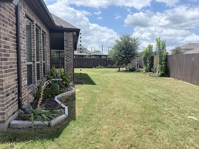 Backyard