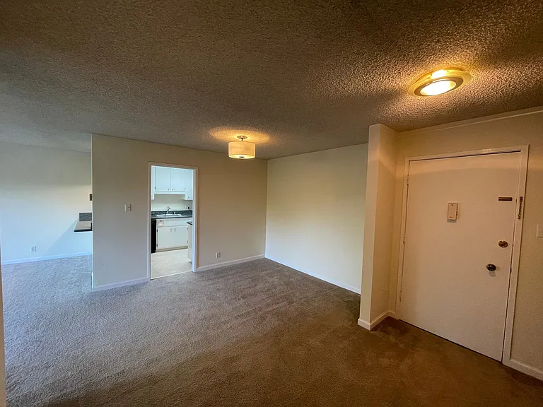 1101 Continentals Way #310 — Photo 8