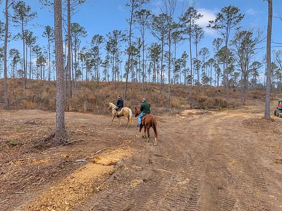 Dji 20260117113826 0016 D