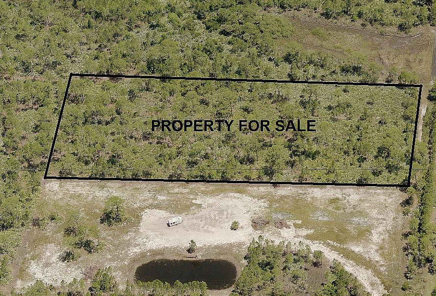 1st image of Sapling Ave