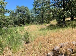 25000 Pineview Dr, Colfax, CA 95713