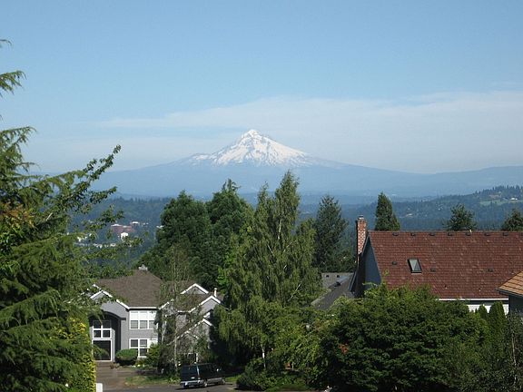 Mt Hood view 