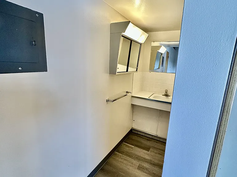 Sink & Vanity