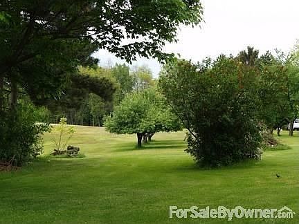 Backyard towards E. Long