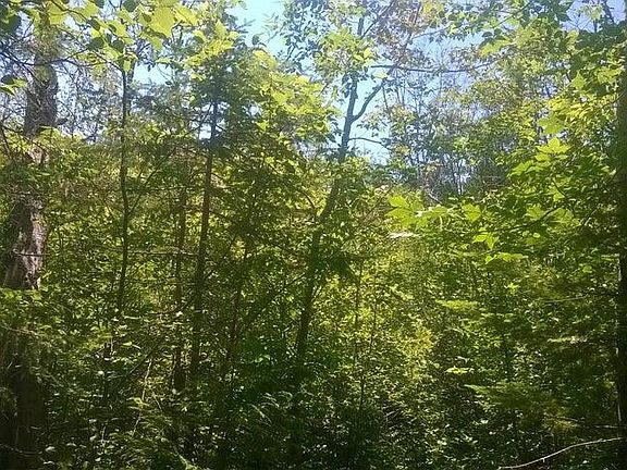 5th image of N Us Highway 23