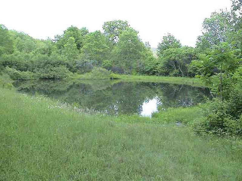 4th image of 141 DEAD END Road