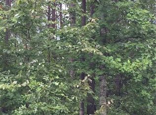 Mountain Creek Rd, Rutherfordton, NC 28139