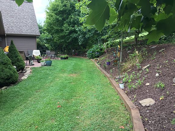 Back yard/patio area