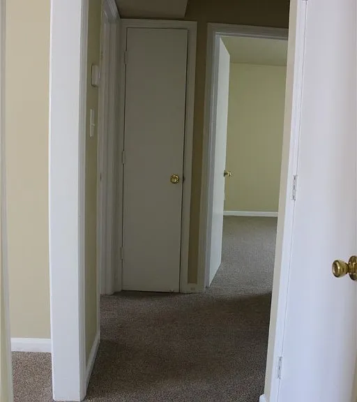 110 Dupuy Ave — Photo 9