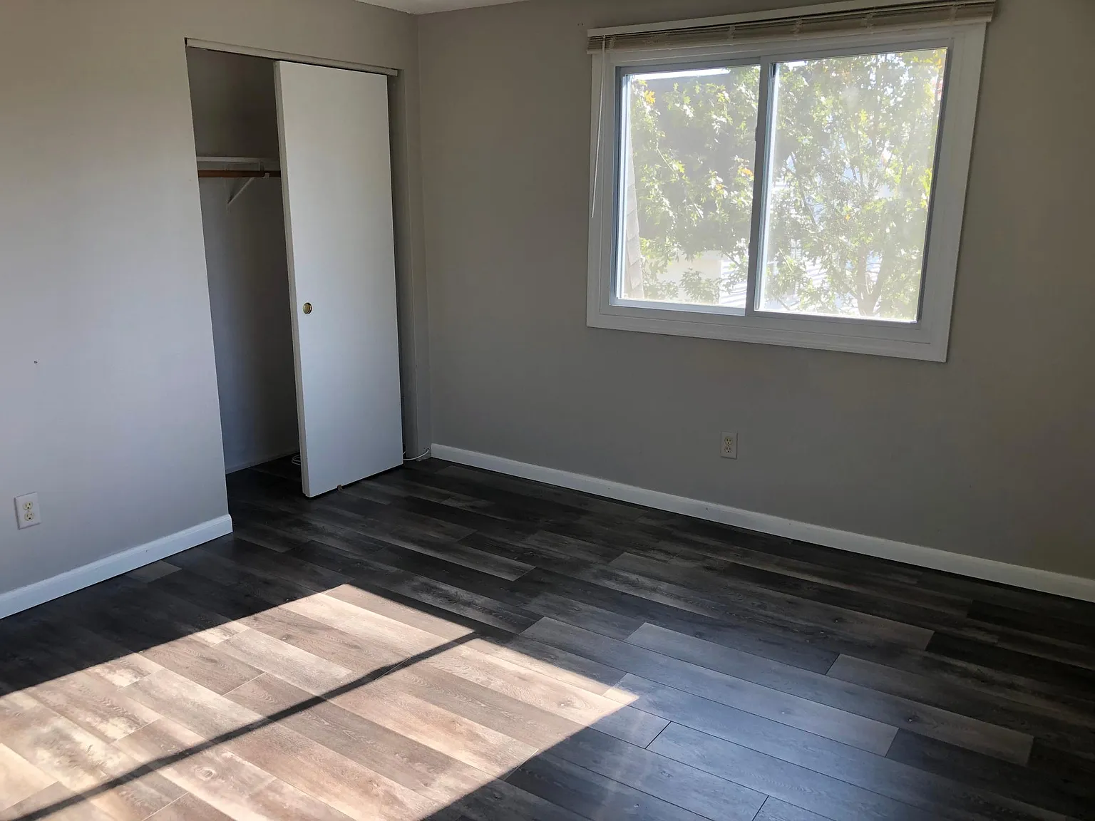 215 Mammoth Rd — Photo 4