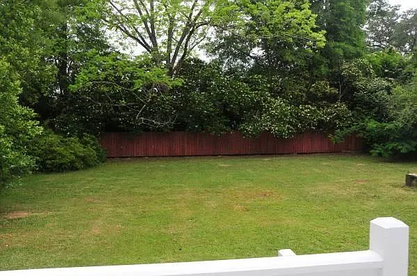 Large back yard