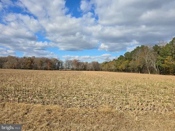LOT Two Poplar Neck Rd, Willards, MD 21874