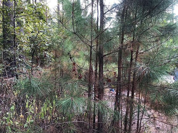 4th image of Dewberry Cir Lot 59