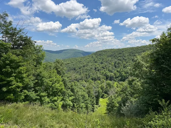 V/l Catatunk Rd Lot Wp001, Canisteo, NY 14823