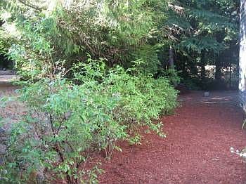 5th image of 4560 NW 82nd St