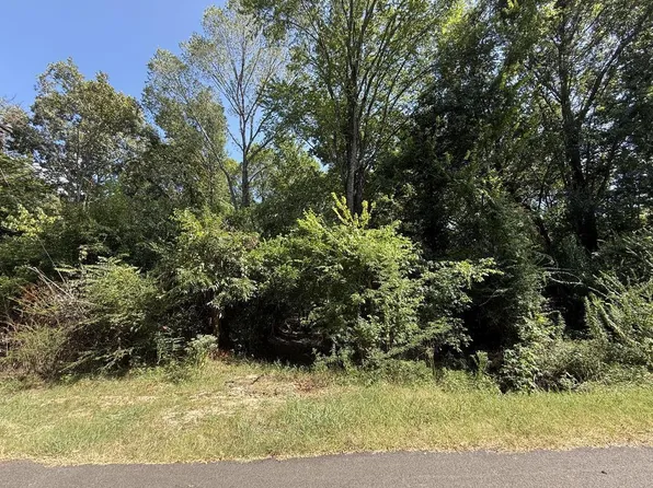 0 W Cook St, Palestine, TX 75801