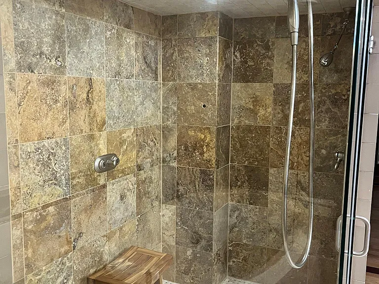 Primary Shower