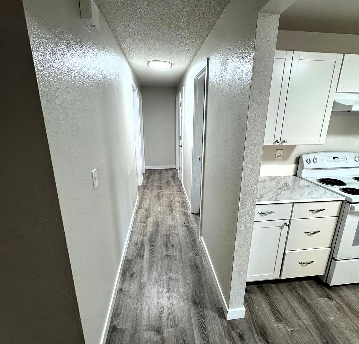 3 bed, 1008 sqft, $2,490 — Photo 4