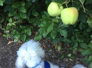 22823 2nd Ave SE, Bothell, WA 98021