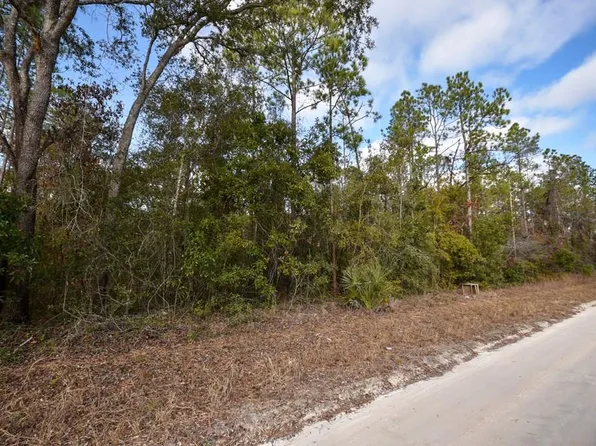 0 NE 796th St, Old Town, FL 32680