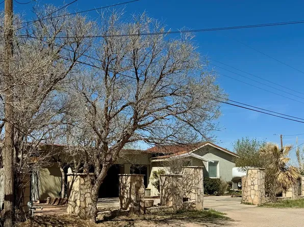 916 1/2 S Elizabeth St, Crane, TX 79731