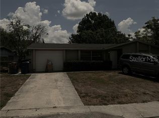 4906 Billy Direct Ln, Lutz, FL 33559