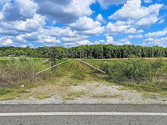 2nd image of Meadows Rd