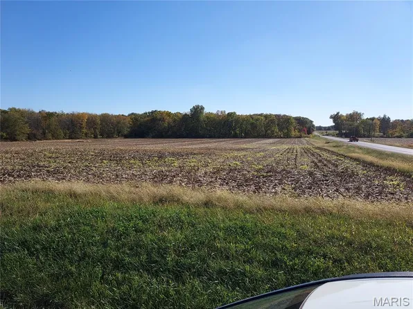 Xxx Dudleyville Rd, Greenville, IL 62246