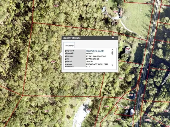 99999 Paint Fork Rd, Barnardsville, NC 28709