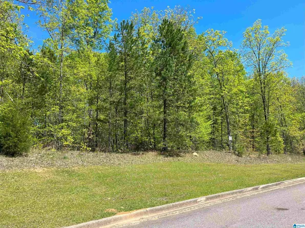 0 Ronny Ln Lot 18, Springville, AL 35146