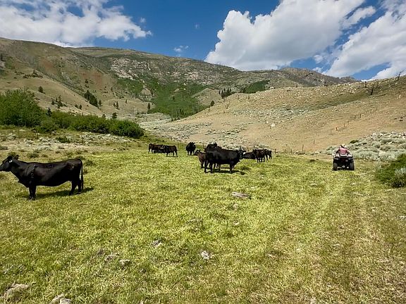 3rd image of 409 Tolman Rd