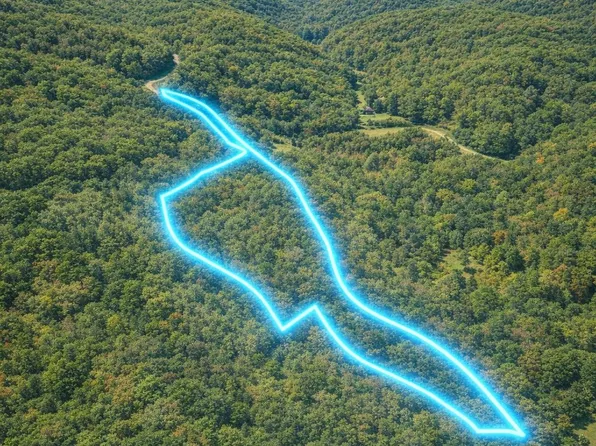 0 Carr Branch Ln, Bethpage, TN 37022