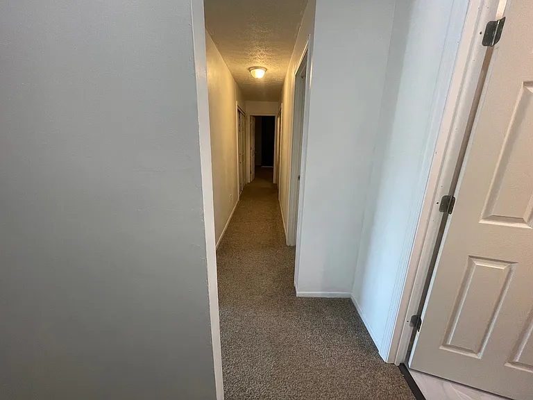 2902 Forest Ln — Photo 12