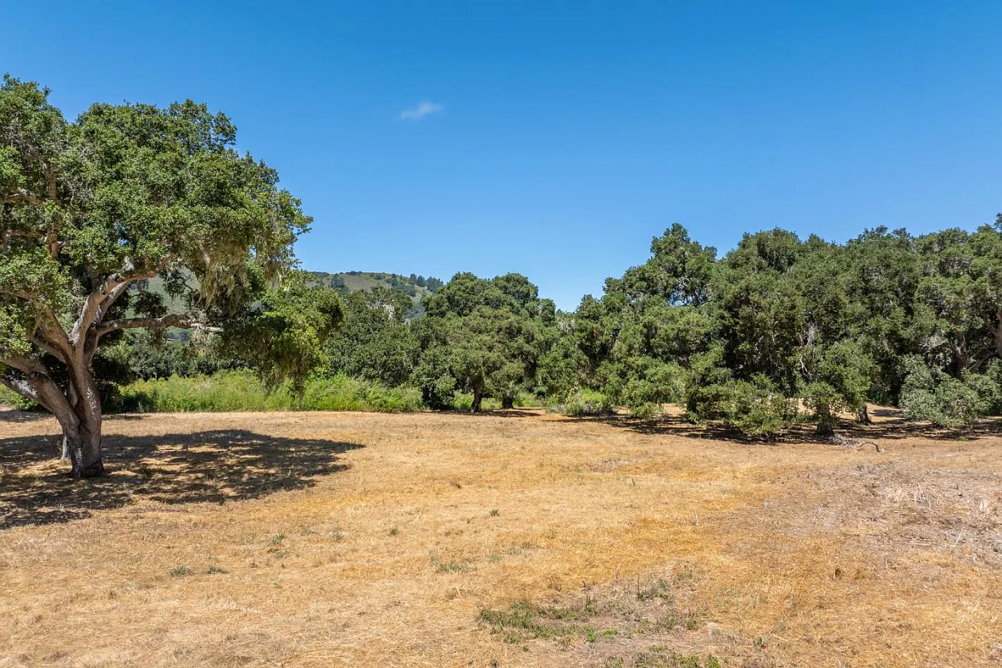 4 Goodrich Trl Lot E13 photo 1