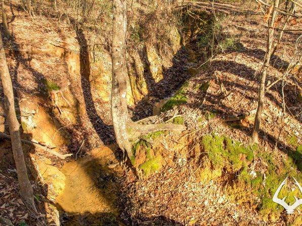 County Road 453, Laneville, TX 75667