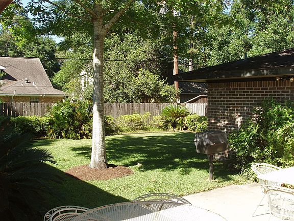 Backyard, looking out