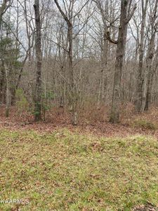 155 Manchester Rd Lot 234, Crossville, TN, 38558