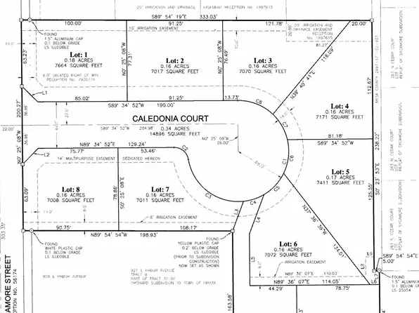 909 Caledonia Ct, Fruita, CO 81521