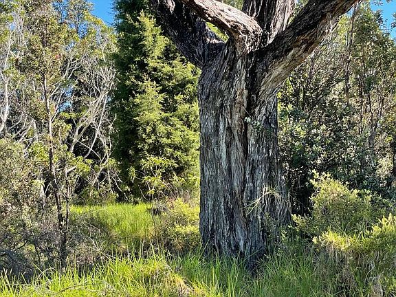 3rd image of Pukeawe Cir Lot 186