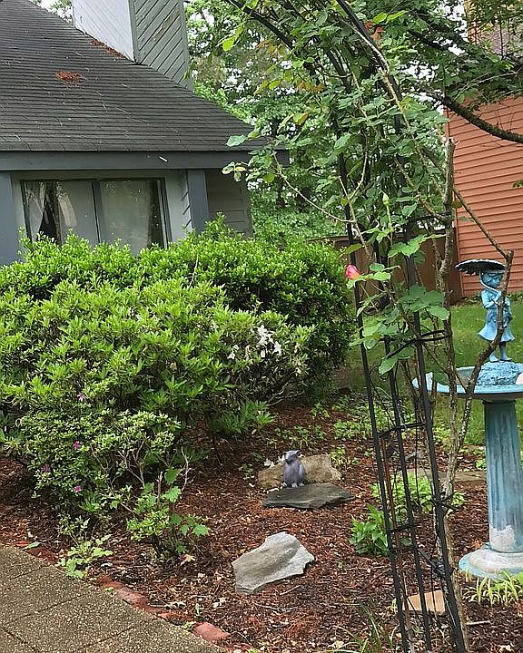 1st image of 1537 Beachview Dr