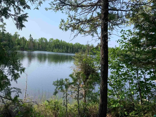 LOT 5 Squint Lake Rd, Grand Marais, MN 55604